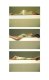 artist 1 photo 2